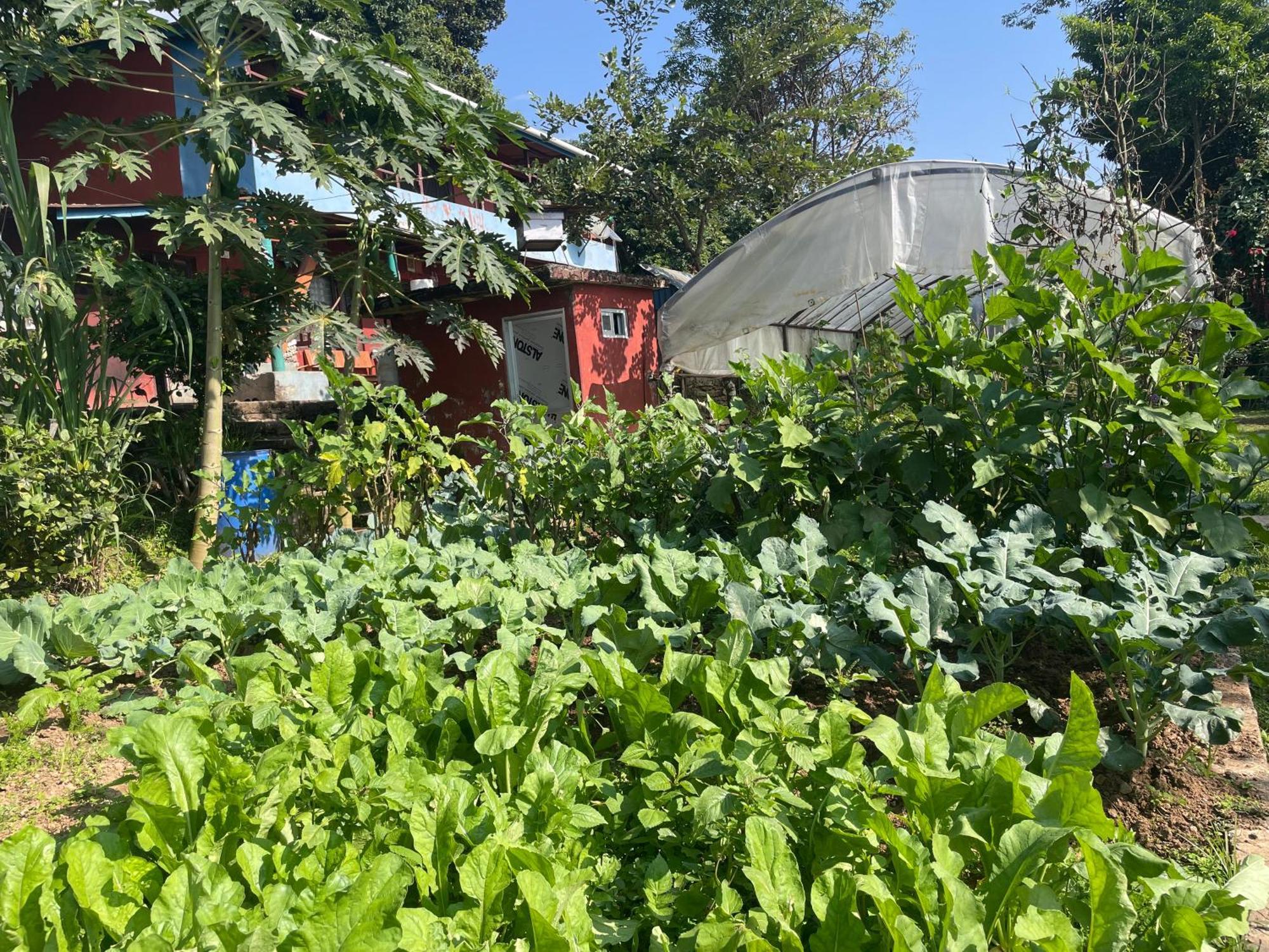 Himalaya Serene View Guest House & Farm Stay Deorāli Zewnętrze zdjęcie